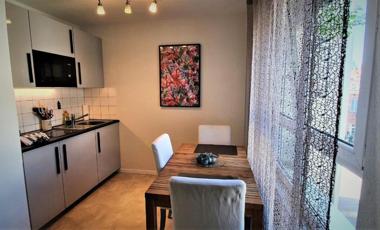 Deluxe Apartment Flamingo In Paradise Friburgo em Brisgóvia Exterior foto
